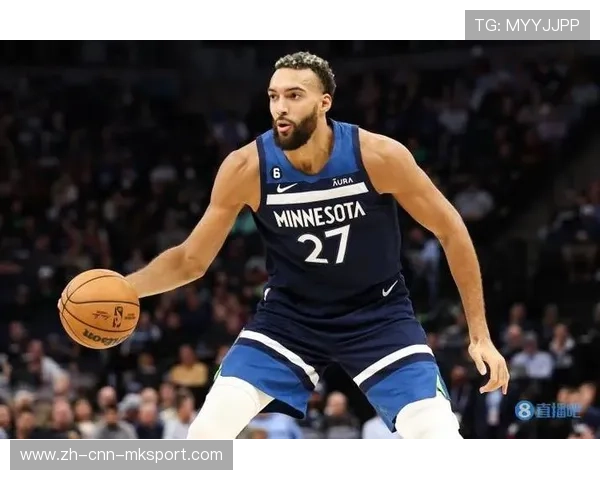 森林狼防守效率提升，戈贝尔作用显现，森林狼戈麦斯